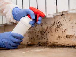 Environmental Consulting for Mold Prevention in Galesburg, IL